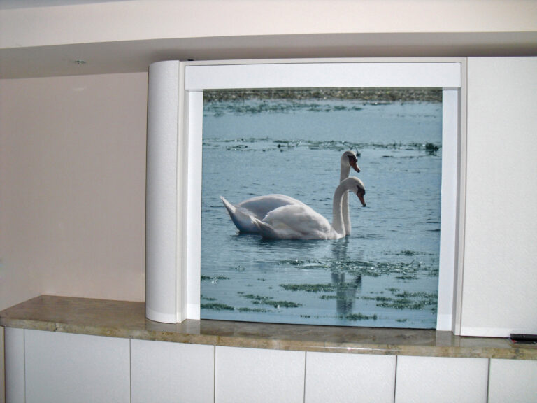 an image of swans digital print shades by Hunter Douglas